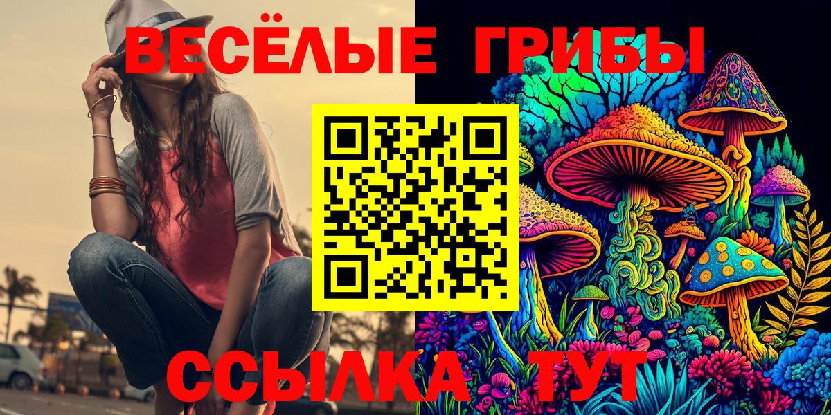 Галлюциногенные грибы Psilocybe  Вход с VPN  Новотроицк 